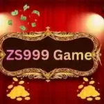Zs 999
