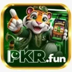 PKRFUN