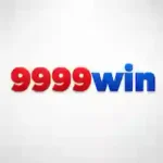 9999win