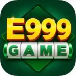 e999 Game