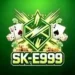 SK e999 Game