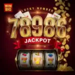 78986 Game