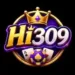 HI 309 Game